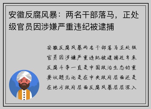 安徽反腐风暴：两名干部落马，正处级官员因涉嫌严重违纪被逮捕