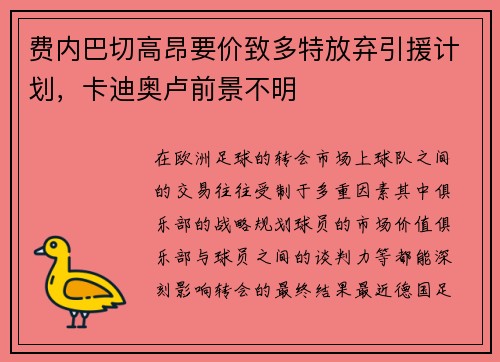 费内巴切高昂要价致多特放弃引援计划，卡迪奥卢前景不明